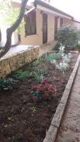 Casa delle Magnolie Valpolicella vicino Verona Free Parking - Chambres d'hôtes Pedemonte