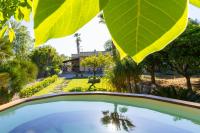 Sicily Authentic Cottage, Outdoor Hot Tub & Century-Old Olive Park, Donna Caterina House - Chambres d'hôtes Pietraperzia