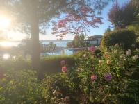 Blue Marina Sunset - B&B Sozopol