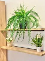 Egressy Cozy Renovated AC Wifi - B&B Budapest