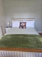 Blue and white cottage - B&B Dungloe