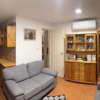 One-Bedroom Apartment with Terrace