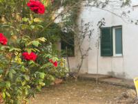 Casale Tocco - B&B Parghelia