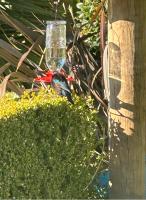 Studio Haven on Fort - B&B Cambridge