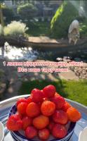 Suite - Vue sur Jardin