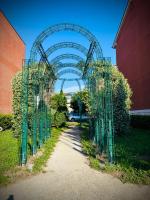 Casa Mia - B&B Rome