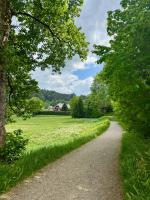 Hollhouse - Bed & Breakfast - B&B Hinterzarten
