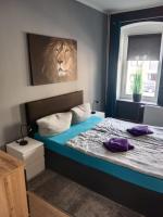 Flensburg City 6 0 - B&B Flensburgo