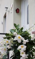 Relais All'Antica Campana - Bed and Breakfast Lusiana