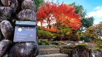 Serene Hill Retreat - Ferienwohnung Nakatsugawa