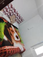 Golden horses - B&B Montebabbio