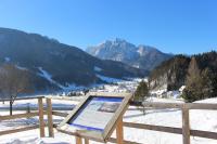 Appartamento con Vista Montagna