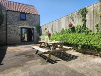 Tawny Owl - B&B Newton