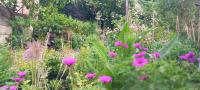 Tweepersoonskamer met Uitzicht op de Tuin