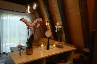 DoubleRise Chalet Rimetea - B&B Rimetea