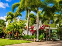 Eden Apartments - B&B Basseterre