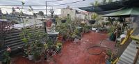 Casa Lulú - B&B Ciudad de México