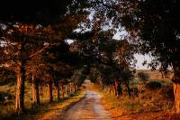 Linderhof Farm by African Perfection - B&B Kromriviermond