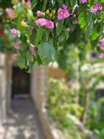 Ton1 - B&B Spalato