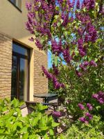 ATOSTOGAUTI GERA - B&B Palanga