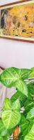 HouseBoutique apartment en Godoy Cruz, Mendoza - B&B Godoy Cruz