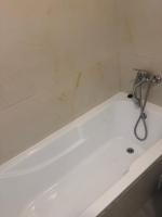 Otopeni Maramures - B&B Otopeni