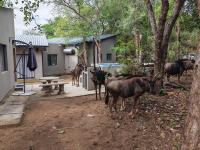 Ikigai@4617 Cottage - B&B Marloth Park