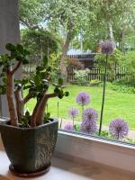Family house in Jurmala - B&B Jūrmala