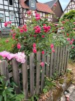 Holiday Living Zennern - Nähe Fritzlar & Edersee - B&B Wabern