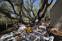 Gallura stazzo among rocks and olive trees - B&B Solaro
