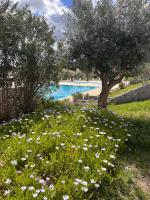 Vila Nova de Santa Susana Alentejo Resort - Chambres d'hôtes Santa Suzana