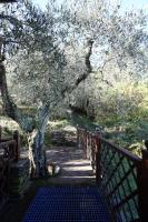 Molino del Rotone - B&B