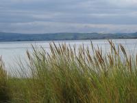Awel y Mor - Bed and Breakfast Aberdyfi