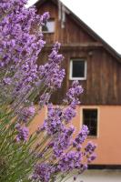 Dom w Dolinie - B&B