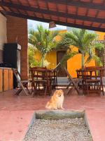 Casa 7 Mares - B&B São Miguel do Gostoso