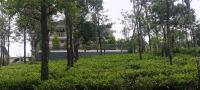 Athithi bhavan - B&B Vagamon