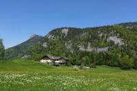 Urlauben im Grünen - Chambres d'hôtes Fuschl am See
