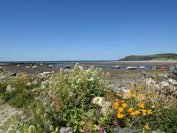 Bryn Tawel - Bed and Breakfast Eglwyswrw