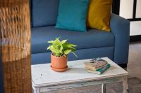 Elegant 2 Bedroom Escape with Jacuzzi & City Vibes - B&B Medellín