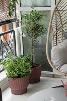 Anema Loft Industrial - B&B Ioannina