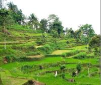 Bale bawak bangket tetebatu 1 - B&B Tetebatu