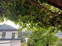 Apartment zur Weinlaube - B&B Inzing