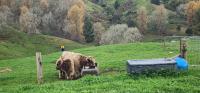 Misty Valley Hilltop Farmstay - Off Grid Retreat - B&B Otorohanga