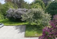 Krasta apartamenti - B&B Saulkrasti