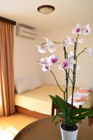 Apartment Matea - B&B Petrovac na Moru