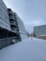 Sea & Aurora View Apartment - B&B Tromsø
