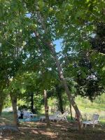 Bellavista - B&B Torriana