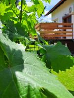 Apartman Simplicity - Bed and Breakfast Rakovica