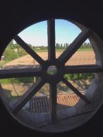 Camera Matrimoniale Standard