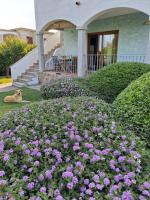 Casa vacanze terra - B&B Olbia
